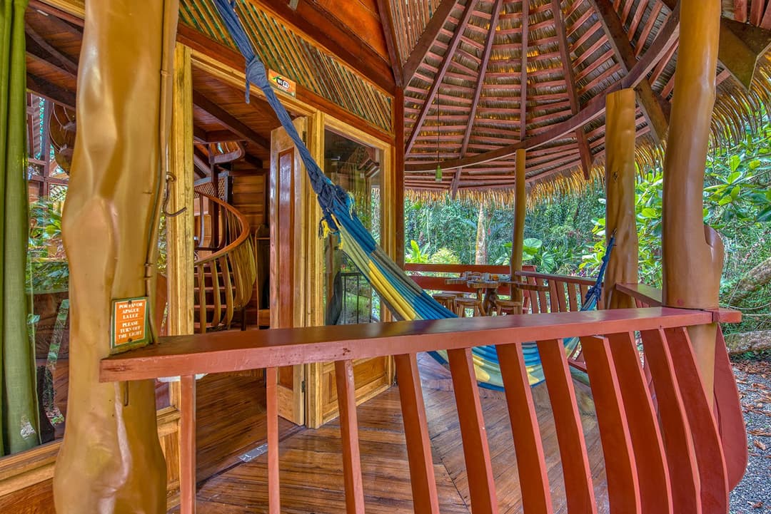 Front veranda under thatched eaves with two blue and yellow hammocks strung between Nispero columns