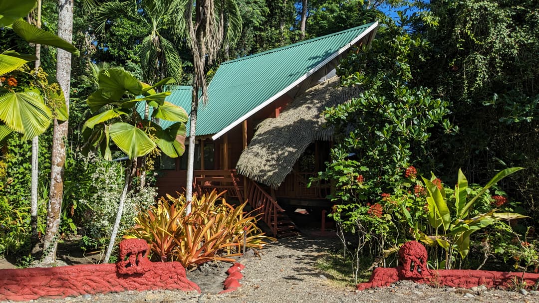 Garden path through palms and traveller's palms approaching the green-roofed Beach House at midday